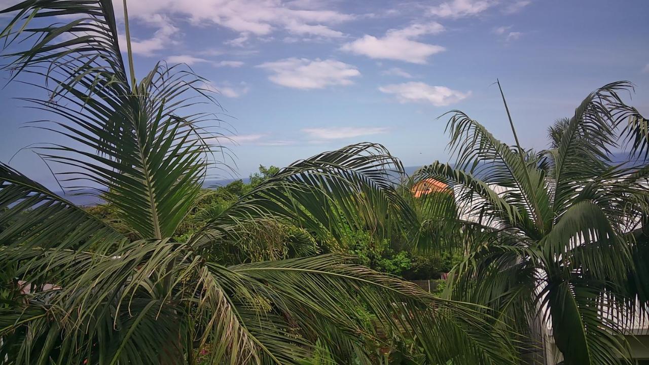 Un Petit Coin De Paradis A La Reunion Saint-Joseph Kültér fotó